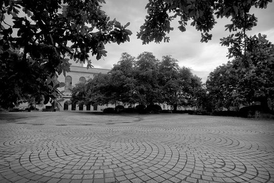 Private French Quarter and Treme Walking Tour