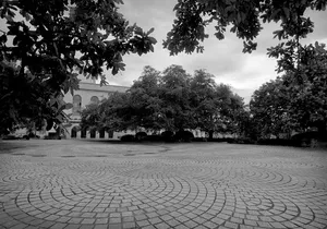 Private French Quarter and Treme Walking Tour