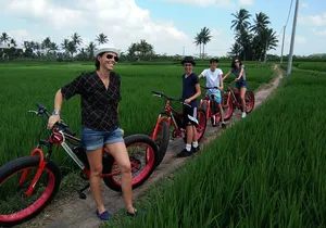Electric Bike Tour in Ubud