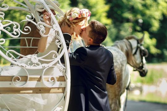 Romantic Proposal Carriage Tour in Central Park
