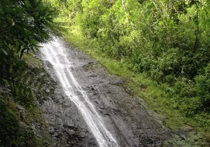 Tropical Adventure Package