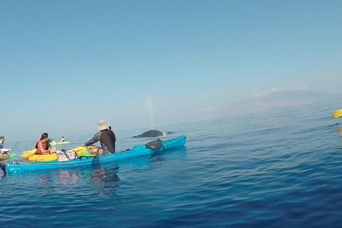 Maui: Makena Whale Watching and Snorkel