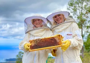 Honey Bee Adventure at the Maui Honey Bee Sanctuary