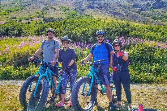 Anchorage Scenic Mountain Bike Tour