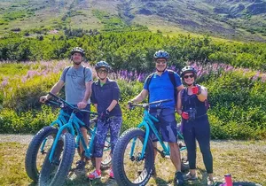 Anchorage Scenic Mountain Bike Tour