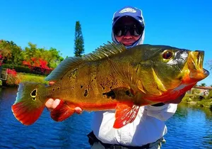 Miami Airport Lakes Peacock Bass Fishing Trip (1 to 4 ppl)