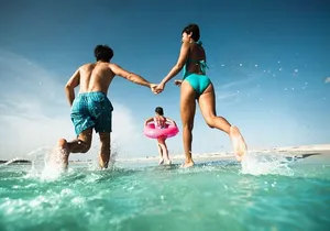 Clearwater Beach Bus Express