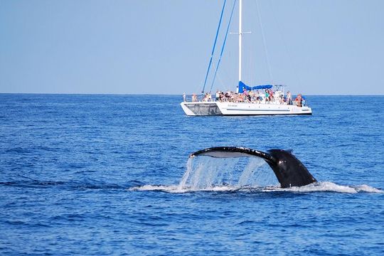 Wake Up With the Whales Cruise from Anaeho'omalu Bay