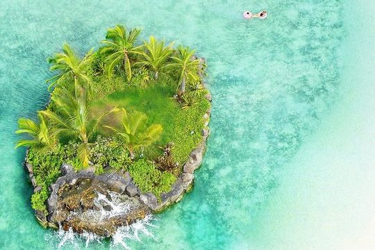 Honolulu Private Walking Tour with a Local