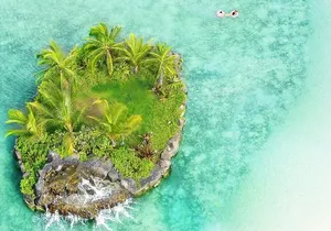 Honolulu Private Walking Tour with a Local