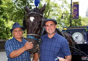Official NYC Horse Carriage Rides in Central Park since 1979 ™
