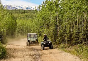 2.5-Hour Denali Wilderness ATV Adventure Tour
