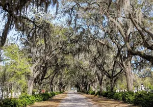 Private Tour of Savannah's Historic/Victorian Districts & Bonaventure Cemetery