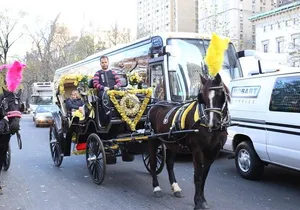 Central Park Private Horse Carriage Tour in NYC