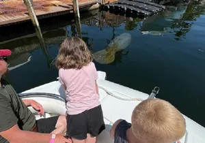 Small Group Florida Keys Eco Tour by Boat