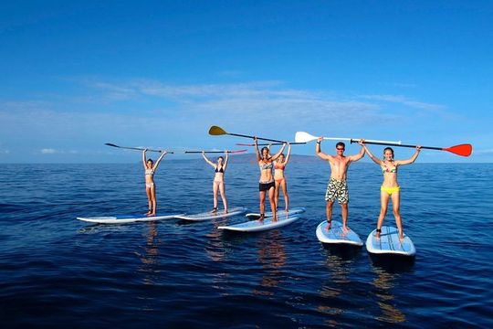 Private Beginner Paddleboard 101 Lesson: Makena Landing!