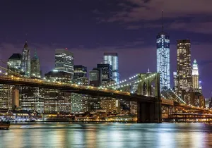 New York City Holiday Lights Tour