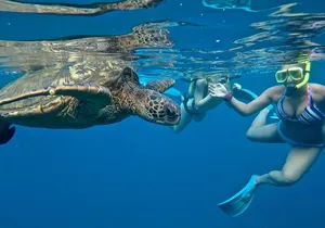 Private Beginner Paddleboard Lesson with Snorkel in Turtle Town