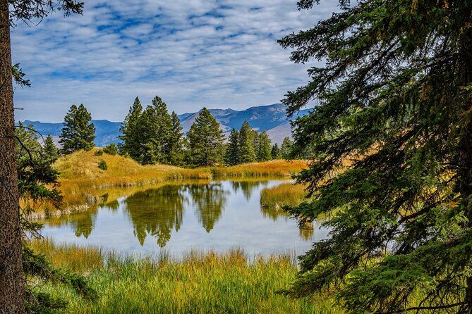 Yellowstone Full Day Private Tour & Hike - Pickup from Jackson