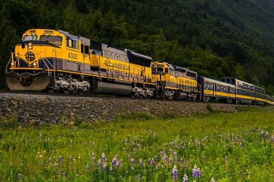 Alaska Railroad Anchorage to Seward Round-Trip Same Day Return