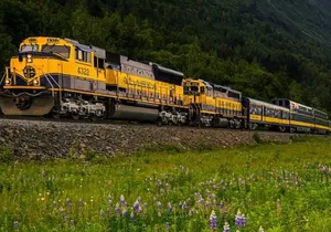 Alaska Railroad Anchorage to Seward Round-Trip Same Day Return