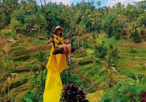 Best of Bali Jungle Swing with Ubud Sightseeing Tour