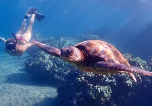 Snorkeling for Non-Swimmers Guided Tour - Wailea Beach