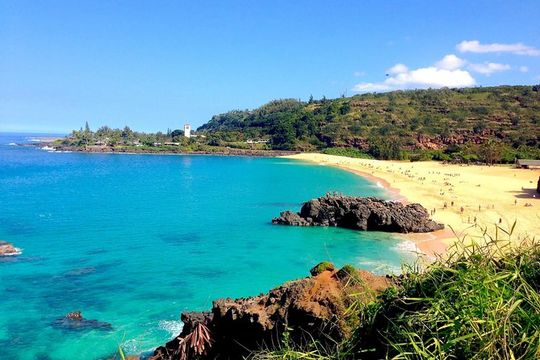 Oahu Personalized Private North Shore Highlight Custom Tour