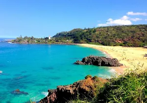 Oahu Personalized Private North Shore Highlight Custom Tour