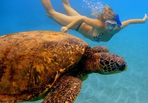 Afternoon Adventure Snorkel from Ka'anapali
