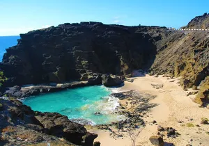 Waikiki Trolley Blue Line Coastline & Local Grindz Hop-on Hop-off