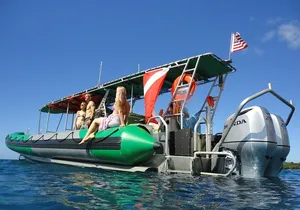 West Maui Snorkeling Experience by Boat from Ka'anapali