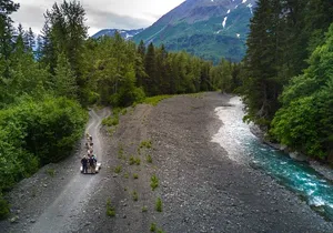 Seward and Kenai Fjords National Park Guided Tour with Lunch