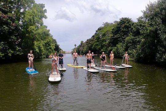 Uniquely Personalized Private Island Tour on Oahu, Hawaii