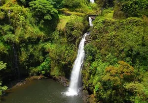 Road To Hana Black Sand Beach Waterfalls & Turtles Tour