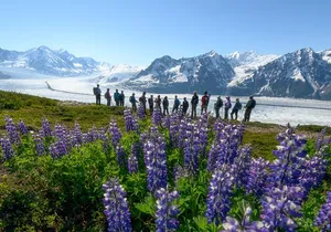 Alaska Heli Hiking - ANCHORAGE AREA