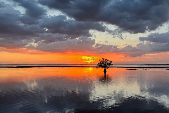 1-Hour Sunset Airboat Ride near Orlando