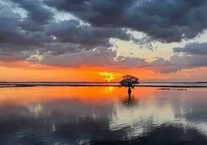 1-Hour Sunset Airboat Ride near Orlando