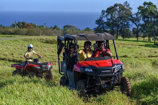 Umauma Falls Deluxe ATV Waterfall and Swim Experience