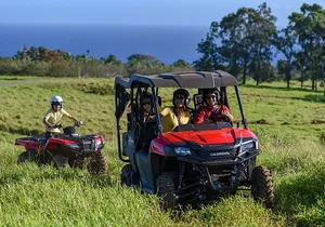 Umauma Falls Deluxe ATV Waterfall and Swim Experience