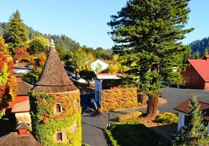 Russian River Valley & Giant Redwoods Private Tour Entrace Fees Included