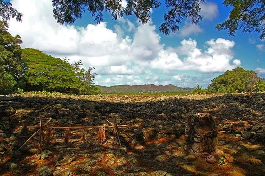 Oahu Off the Beaten Path Small-Group Tour from Honolulu