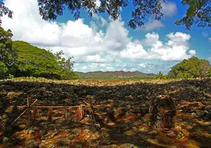 Oahu Off the Beaten Path Small-Group Tour from Honolulu
