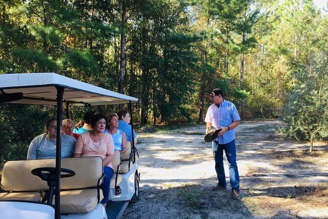 The Olive Grove Tour