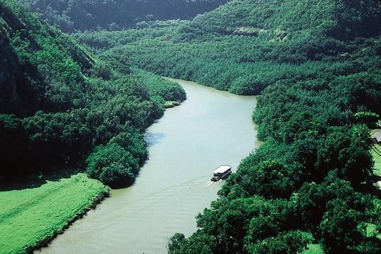 Kauai Cruise Ship Excursion: Wailua River & Fern Grotto