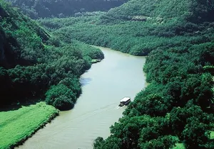 Kauai Cruise Ship Excursion: Wailua River & Fern Grotto