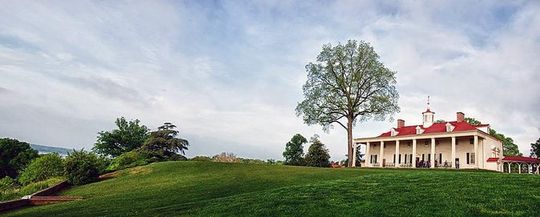 Old Town, Alexandria and Mount Vernon Private Tour