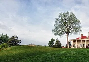 Old Town, Alexandria and Mount Vernon Private Tour