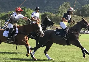 Honolulu Polo Game with Stables Tour and VIP Seats plus Private Island Tour