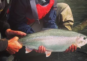 Full day fishing trips